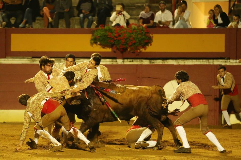 Forcados de CORUCHE