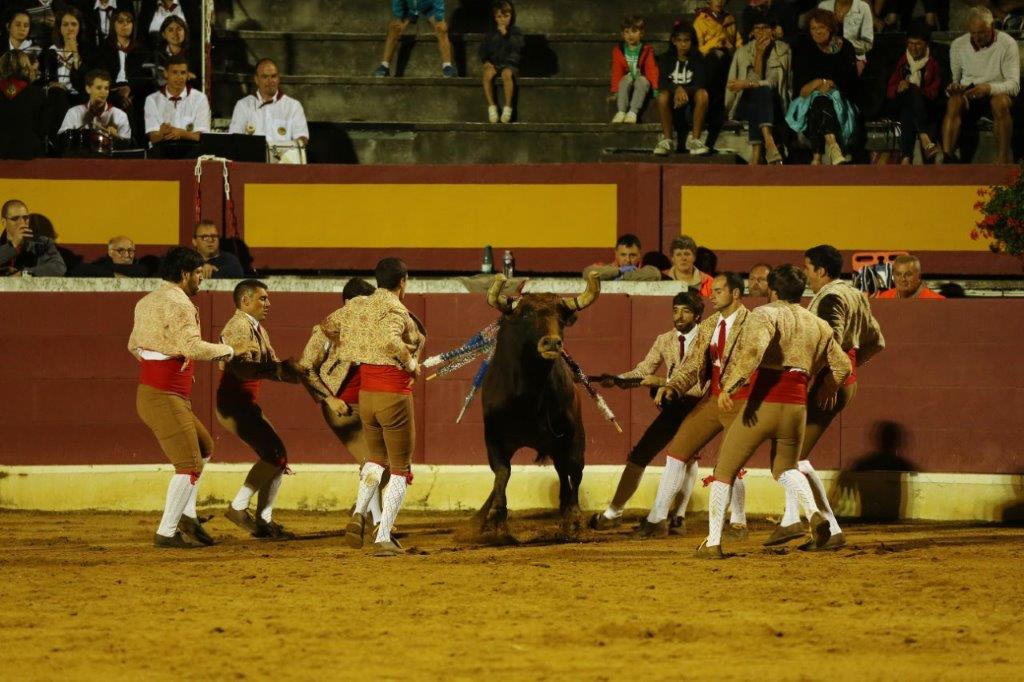 Forcados de CORUCHE