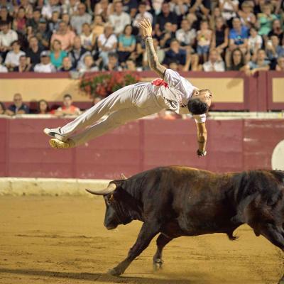 TORO DÉFI 5 août 2024